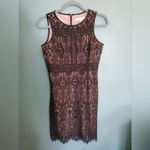 Ann Taylor Loft black lace cocktail dress 6P